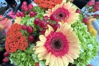 incalls and outcalls - Image 3